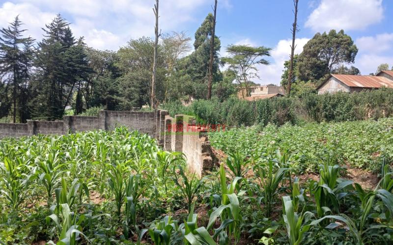 -commercial 100by100ft Plot For Sale In Kikuyu Zambezi