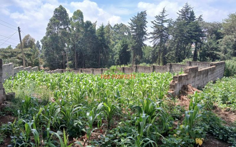 -commercial 100by100ft Plot For Sale In Kikuyu Zambezi