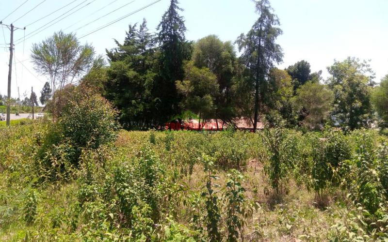 Prime 50*100 Plots For Sale In Kikuyu Mígumoiní