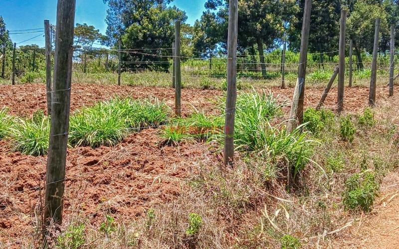 Prime Residential Plot For Sale in Kikuyu, Kamangu.