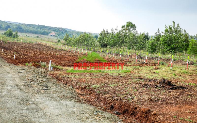 Prime 50 By 100 Ft Presidential Plots In A Gated Community-hillsview  Estate Phase 4 -in Kikuyu,nachu
