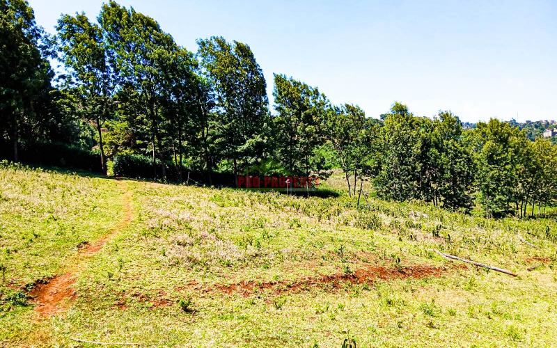 Prime Plots For Sale In Ondiri, Kikuyu – Near Leillani Gardens - Ready Title Deeds