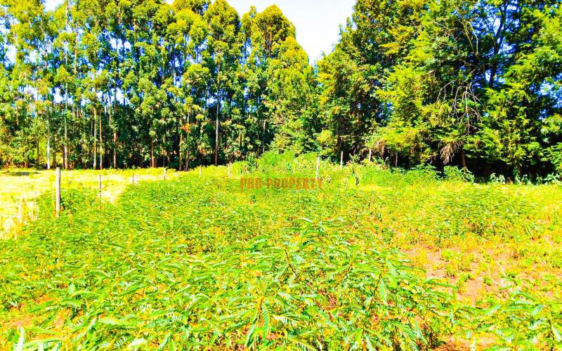 Prime Plots For Sale In Ondiri, Kikuyu – Near Leillani Gardens - Ready Title Deeds