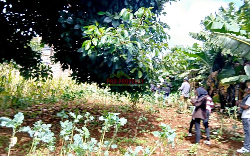 Strategic 100 By 100 Ft Commercial Corner Plot For Sale In Kikuyu, Thogoto