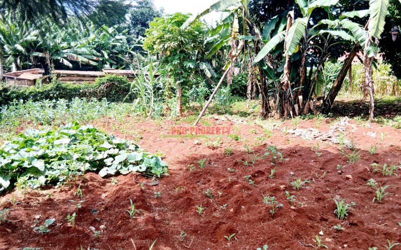 Strategic 100 BY 100 Ft Commercial Corner Plot for Sale in Kikuyu, Thogoto