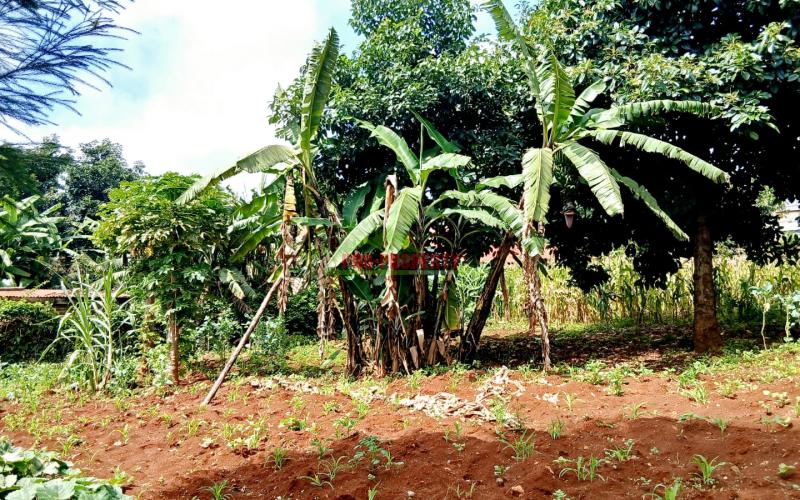 Strategic 100 By 100 Ft Commercial Corner Plot For Sale In Kikuyu, Thogoto