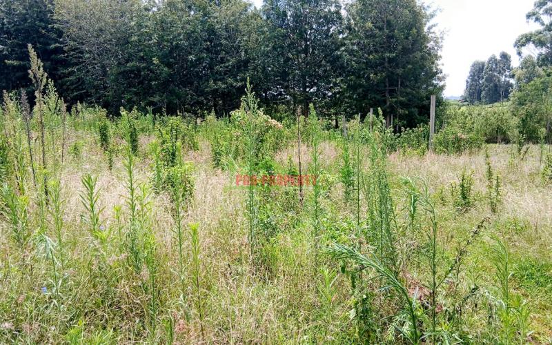 Prime 50x100ft Residential Plot For Sale – Ng'amba, Kikuyu