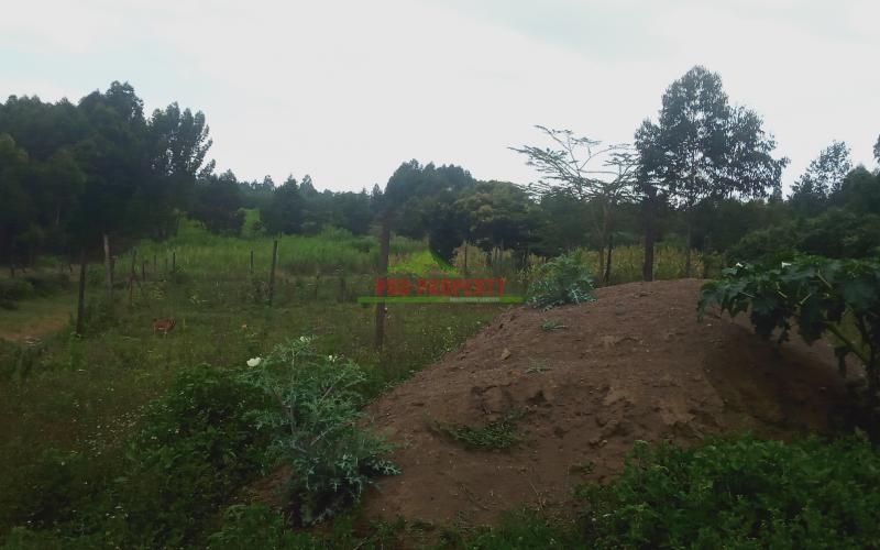 Prime  50 By 100ft Plots For Sale In Kikuyu, Kamangu