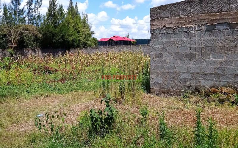 Prime Residential Plot For Sale In Kikuyu, Gikambura.