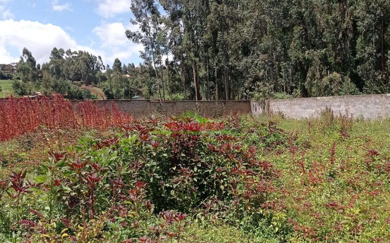 Prime Residential Plot For Sale In Kikuyu, Gikambura.