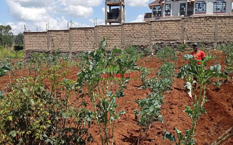 Prime Residential Plot For Sale In Kikuyu, Gikambura.