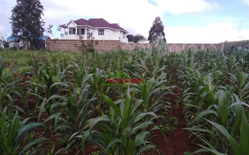 Residential Plot For Sale In Kikuyu Kamangu Area