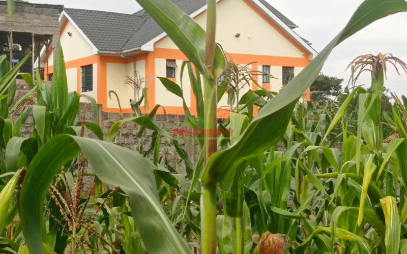 Residential Plot for Sale in Kikuyu Ondire