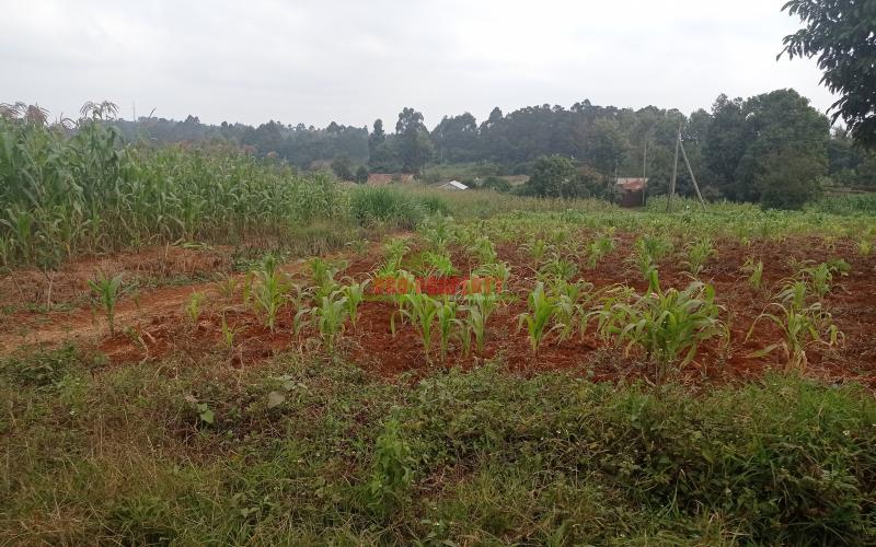 Residential Plot For Sale In Gikambura Kikuyu