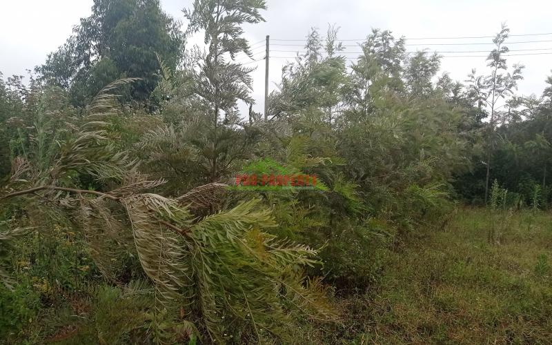 Residential Plots For Sale In Kikuyu, Gikambura