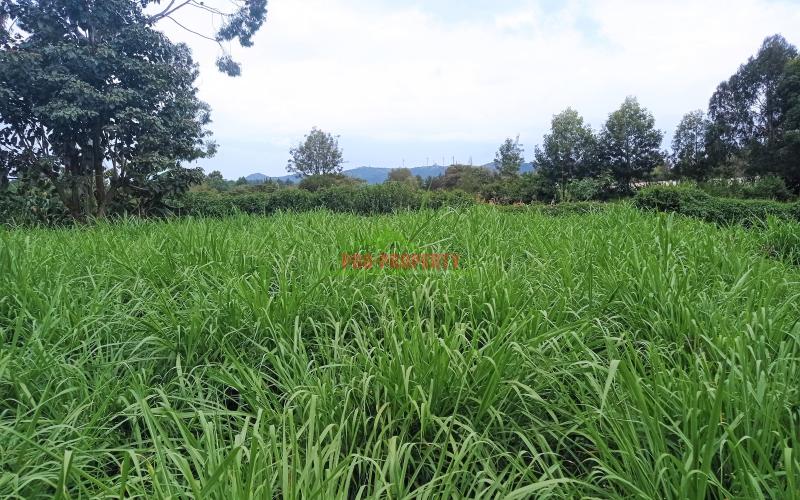 Prime Quarter Acre Plot For Sale In Ngong Suburbs