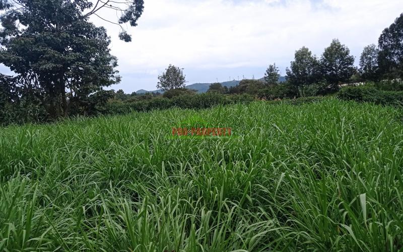 Prime Quarter Acre Plot For Sale In Ngong Suburbs