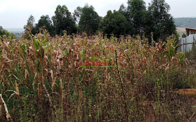 Prime Residential Plot For Sale In Kikuyu Kamangu.