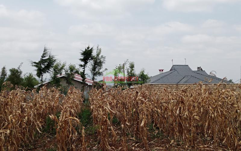Prime Residential Plot For Sale In Kikuyu Kamangu.