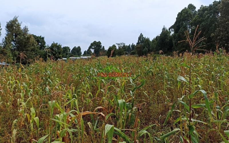 Commercial Plot For Sale In Kikuyu, Thogoto