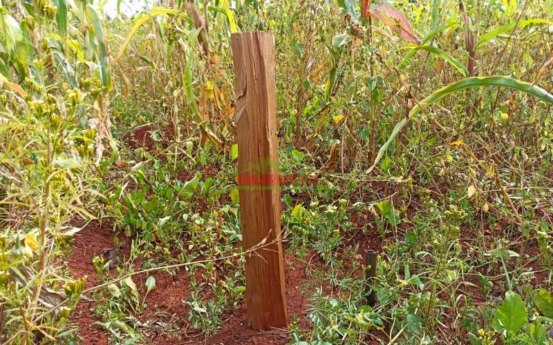 Commercial Plot For Sale In Kikuyu, Thogoto