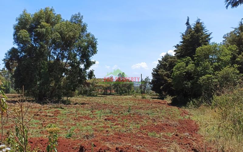 Half Acre Land For Sale In Kikuyu’s Ondiri