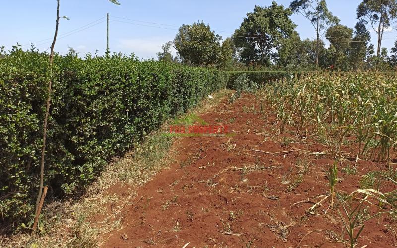 Residential Plot For Sale In Kikuyu, Ondiri