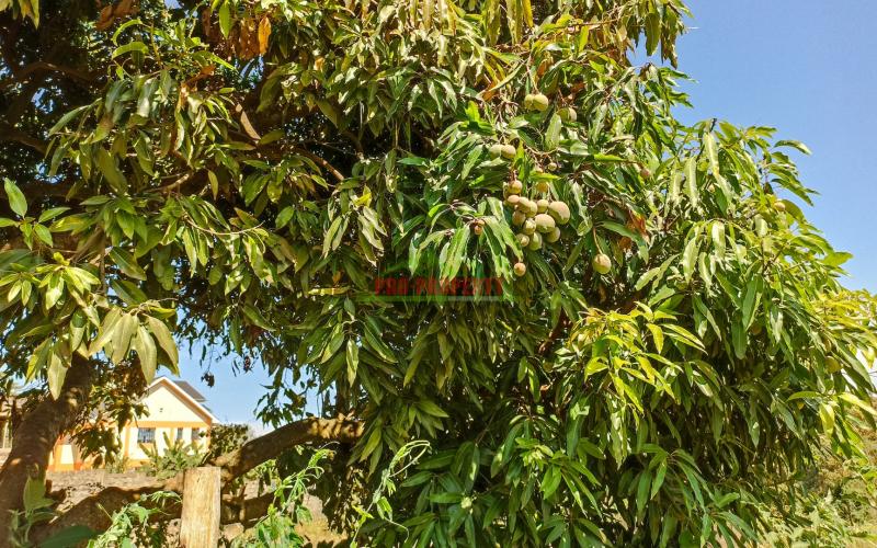 Quarter Acre Plot For Sale In Ondiri, Kikuyu