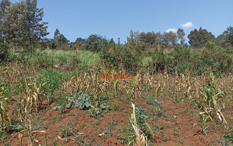 100 By 100ft Plot For Sale In Gikambura, Kikuyu
