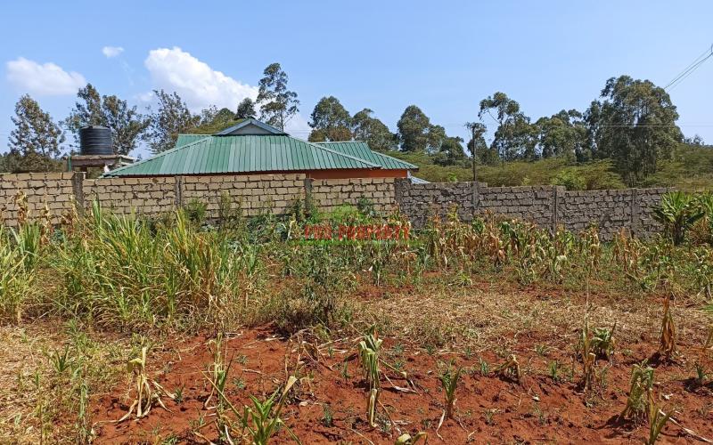 100 By 100ft Plot For Sale In Gikambura, Kikuyu