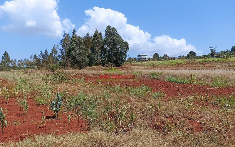 Residential Quarter Acre Plot For Sale In Gikambura, Kikuyu