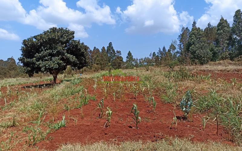 Residential Quarter Acre Plot For Sale In Gikambura, Kikuyu