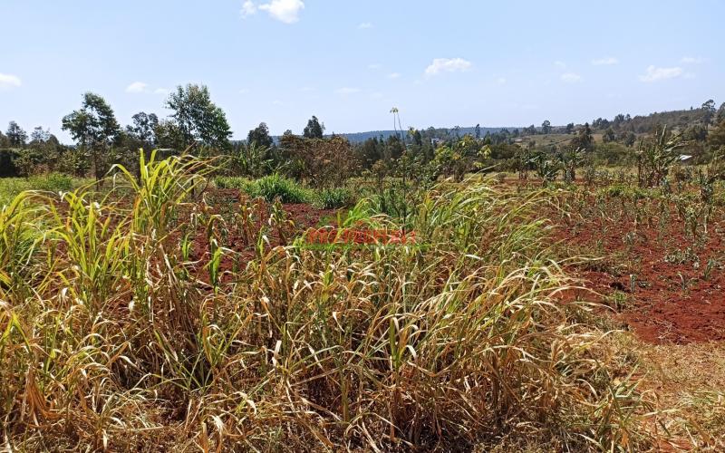 Residential Quarter Acre Plot For Sale In Gikambura, Kikuyu