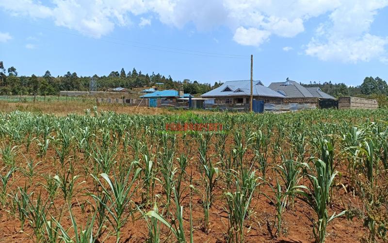 Good Residential Plot For Sale In Kikuyu, Lusigetti