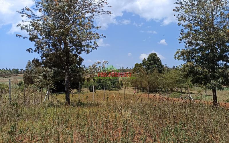 50 By 100ft Residential Plot For Sale In Lusegetti, Kikuyu