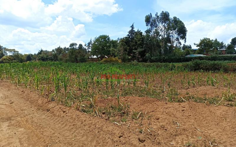Plots For Sale In Kikuyu, Ng’amba.