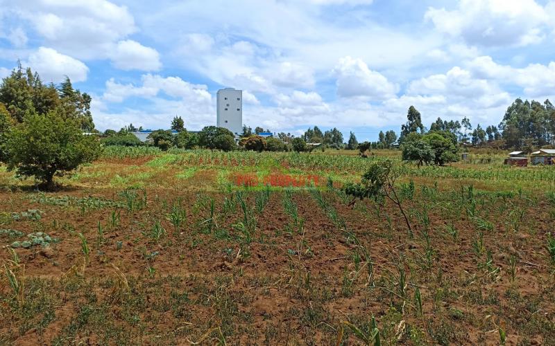 Plots For Sale In Kikuyu, Ng’amba.