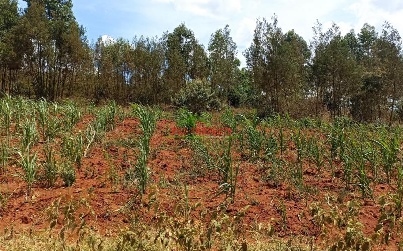 One Acre Land For Sale In Kikuyu, Lusigetti, Kiambu County