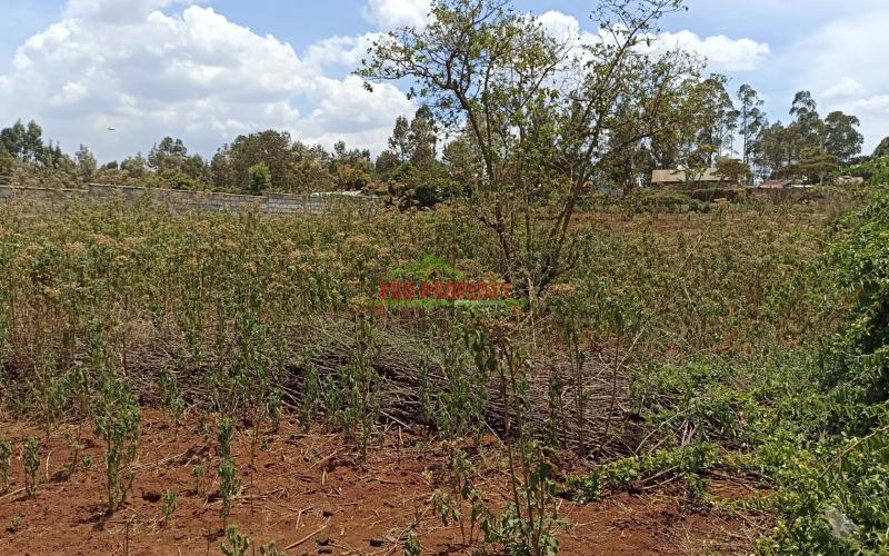 Residential Plot For Sale In Kikuyu, Gikambura.