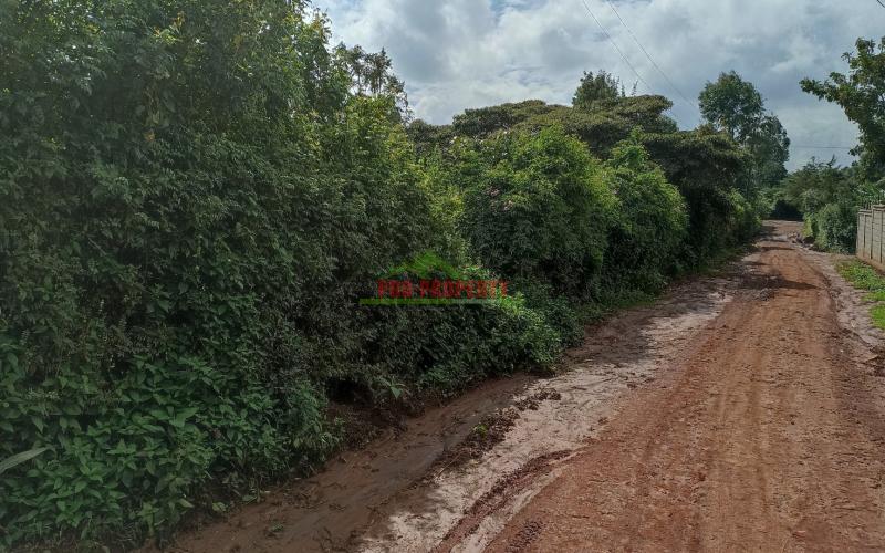 Quarter Acre Plot For Sale In Kikuyu, Mai A Ihii