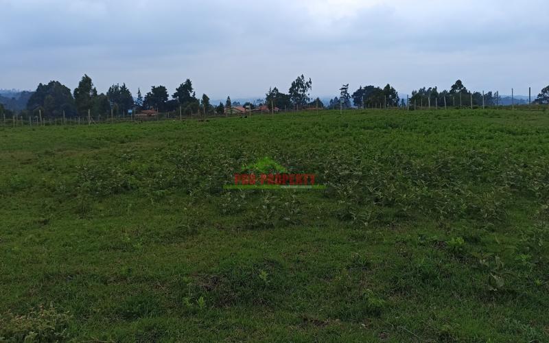 Plots for Sale in Limuru, Mutarakwa