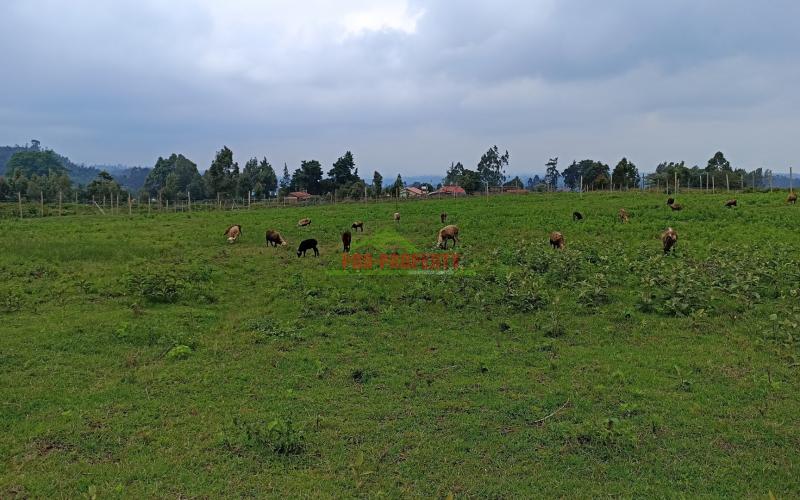 Plots For Sale In Limuru, Mutarakwa