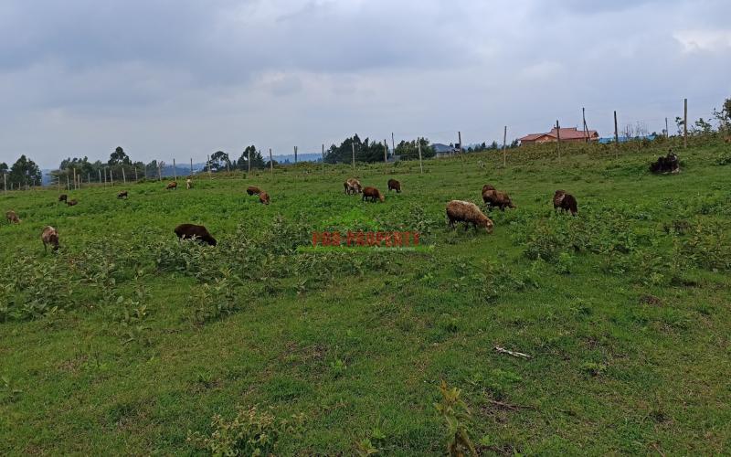 Plots For Sale In Limuru, Mutarakwa