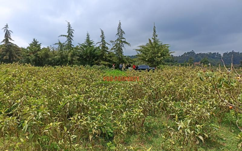 Plots For Sale In Limuru, Mutarakwa