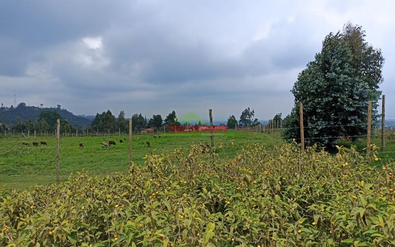 Plots For Sale In Limuru, Mutarakwa