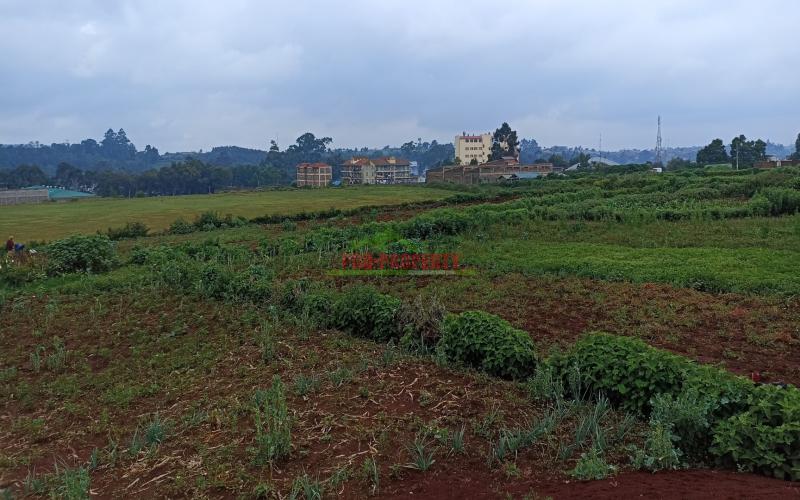 Prime Plot For Sale In Limuru, Near Town