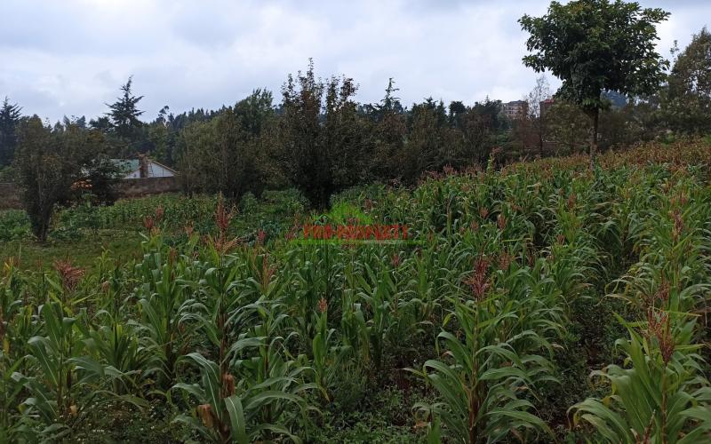 1 Acre Land For Sale In Limuru, Kiambu County