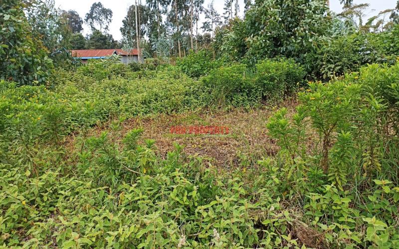 1 Acre Land For Sale In Limuru, Kiambu County