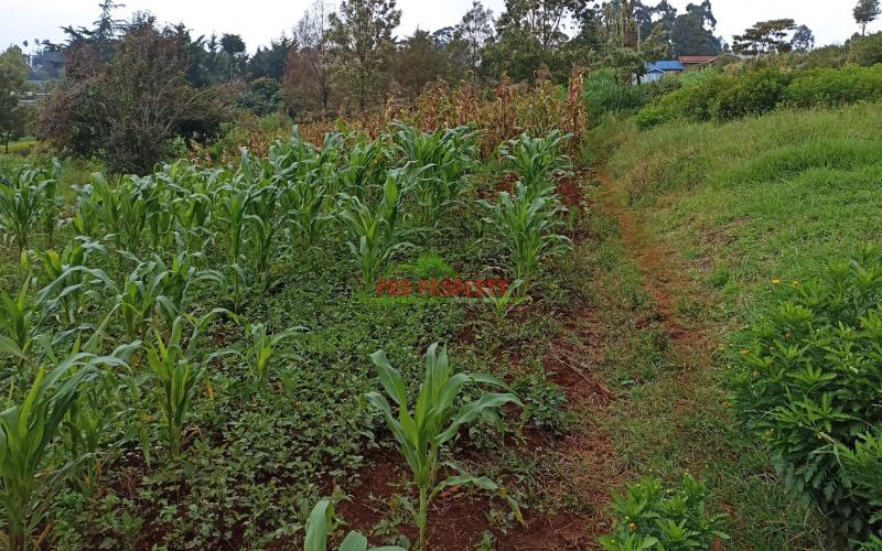 1 Acre Land For Sale In Limuru, Kiambu County