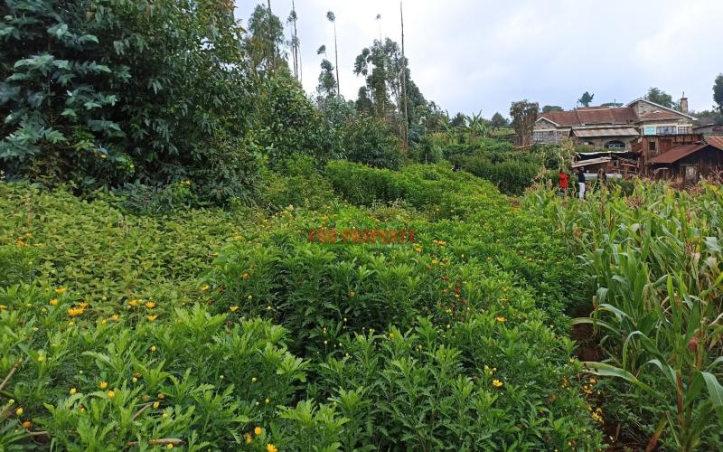 1 Acre Land For Sale In Limuru, Kiambu County